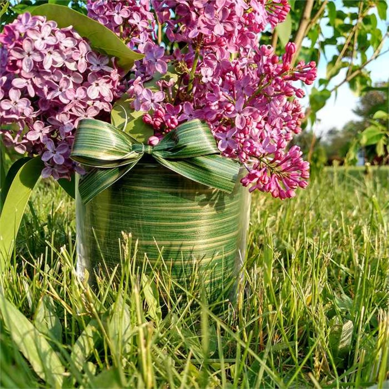 Aspidistra Leaf Ribbon – Multiple Colors – 55 Yd/Roll