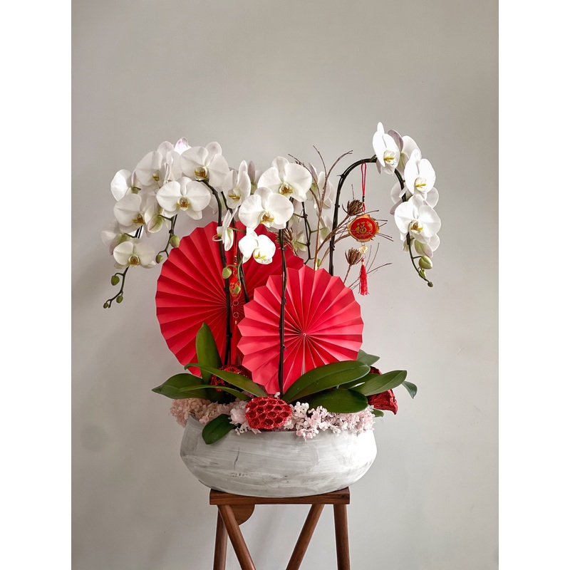 Red Lantern Orchids