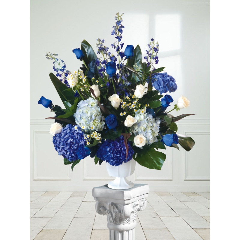 UA-8-premium & deluxe