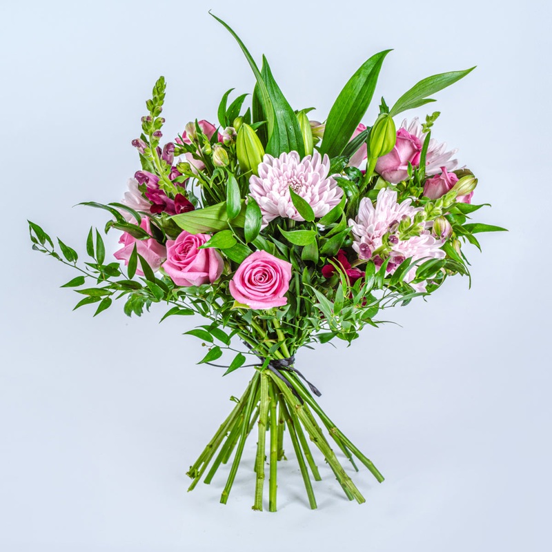 Fiesta-Standard & Deluxe & Upgrade to Superior