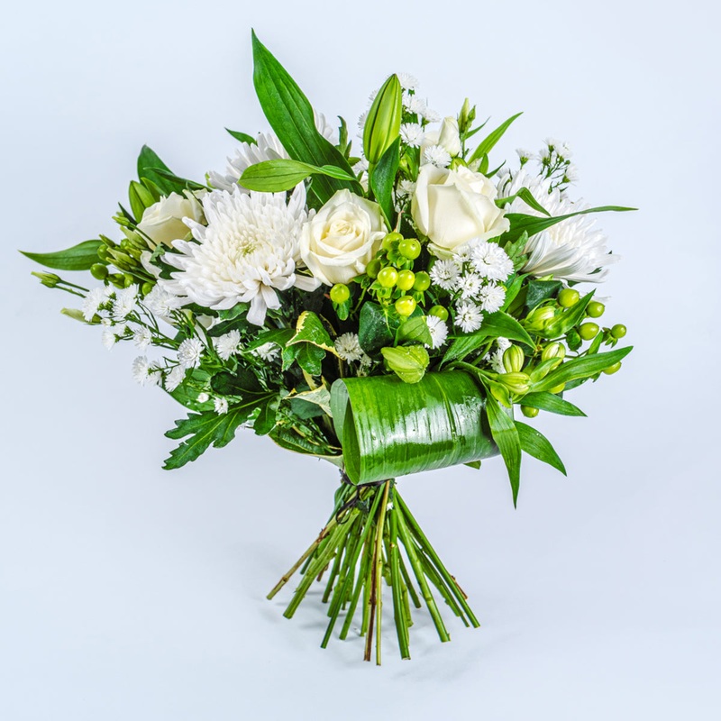 Wonderland-Standard & Deluxe & Upgrade to Superior