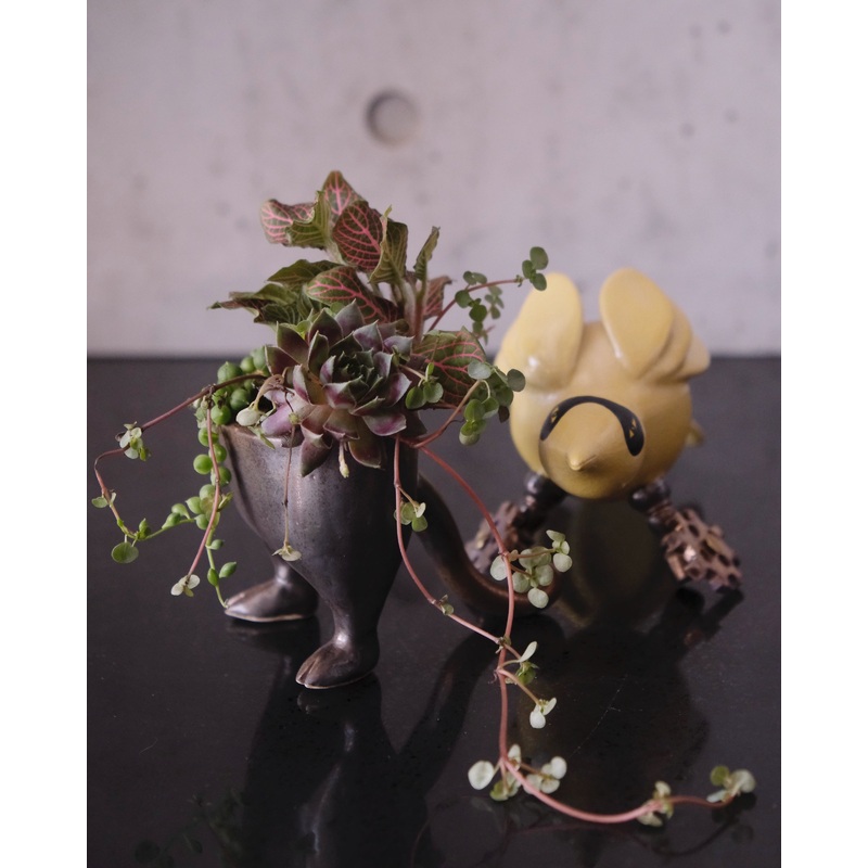 ZOOPUNKIA! 2-Part Planter Workshop