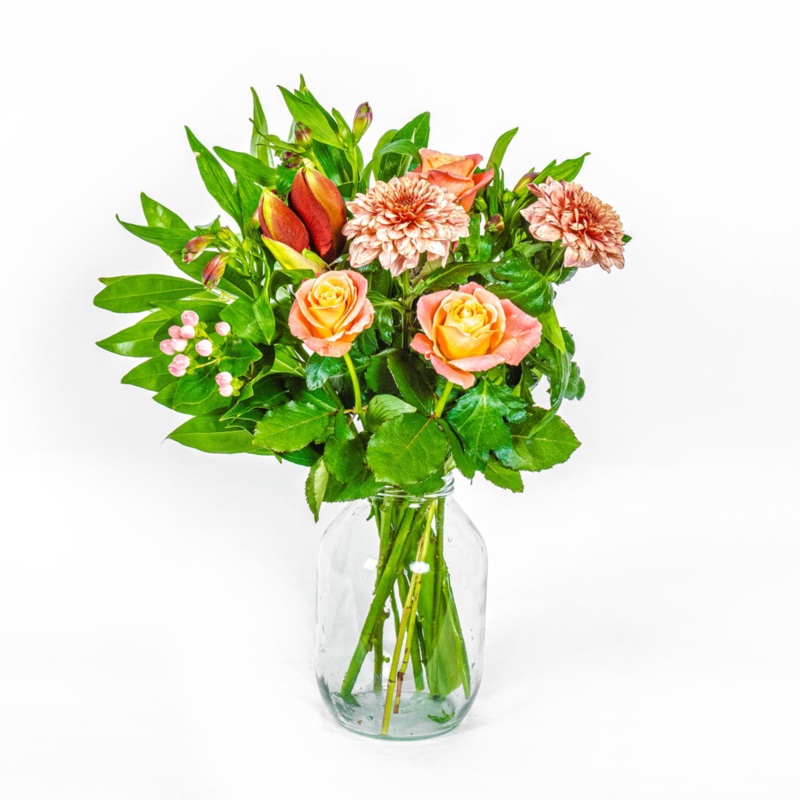 Aurora-Standard & Upgrade to Deluxe