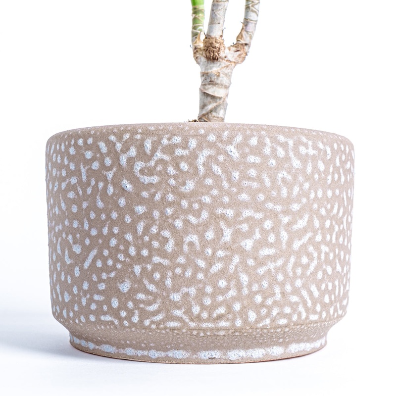 Kera Stone Plant Pot-Stone