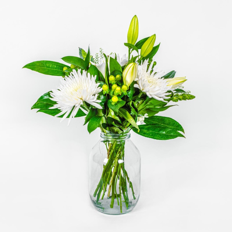 Luna-Standard & Deluxe & Upgrade to Superior