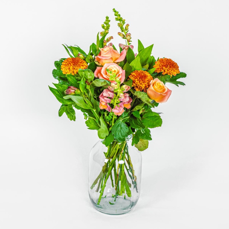 Solstice-Standard & Deluxe