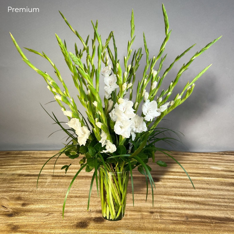 Glorious Gladiolus-Standard – 10 stems & Deluxe – 20 stems & Premium – 30 stems