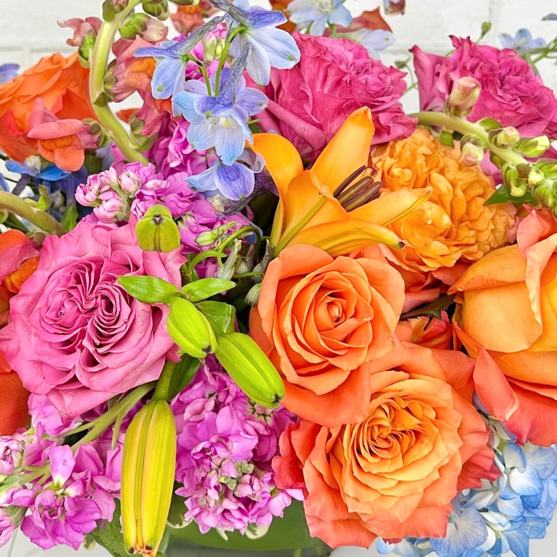 Designer’s Choice  – Vibrant Sherbet