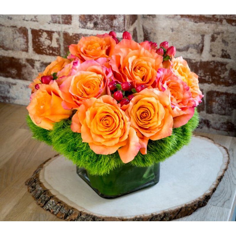 Free Spirit-Standard & Deluxe – As Shown & Premium