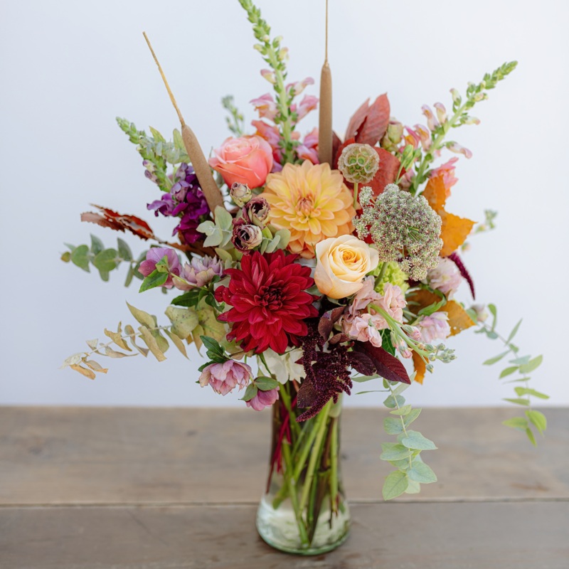 Abundant Autumn-Standard & Deluxe & Premium