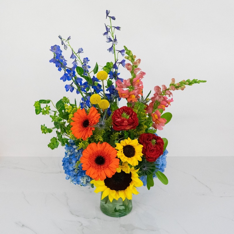 Bold ‘n Beautiful-Standard & Deluxe – As Shown & Premium