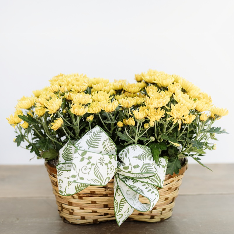 Double Mum Basket