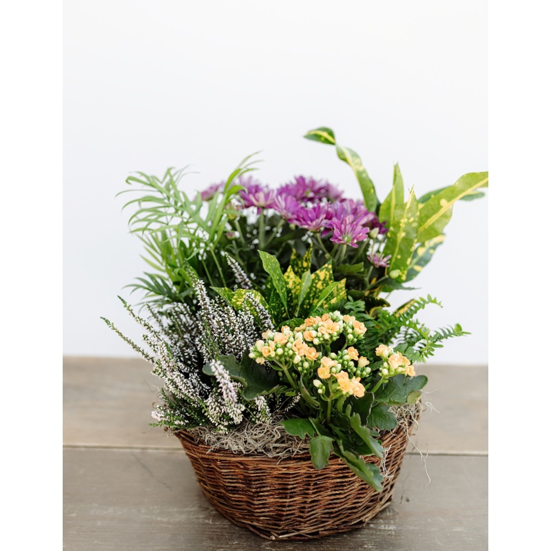 Fall European Garden Basket-Standard & Deluxe & Premium