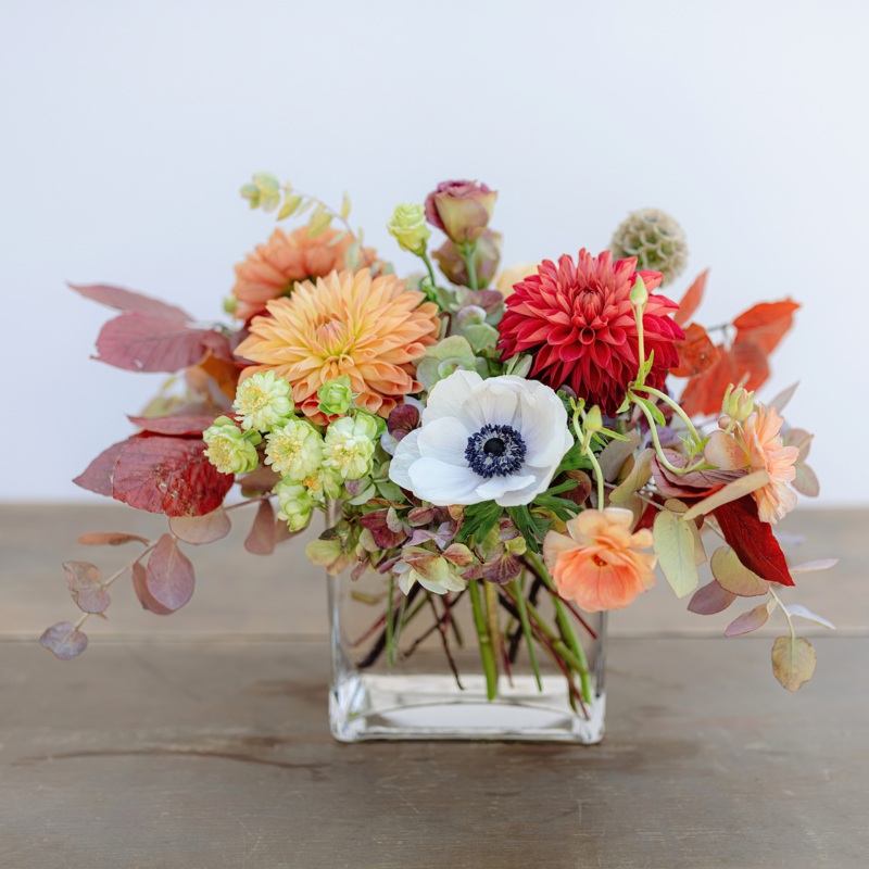 Fall’s Glory-Standard & Deluxe & Premium