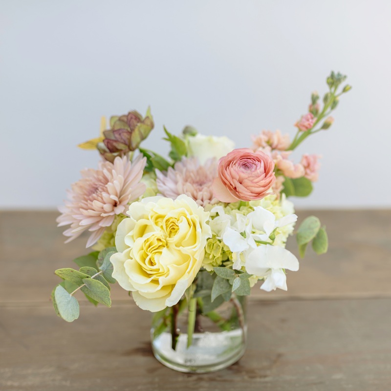 Garden Harvest-Standard & Deluxe & Premium