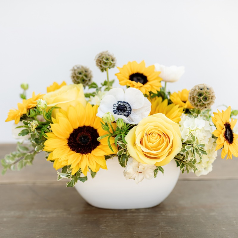 Golden Hour-Standard & Deluxe & Premium