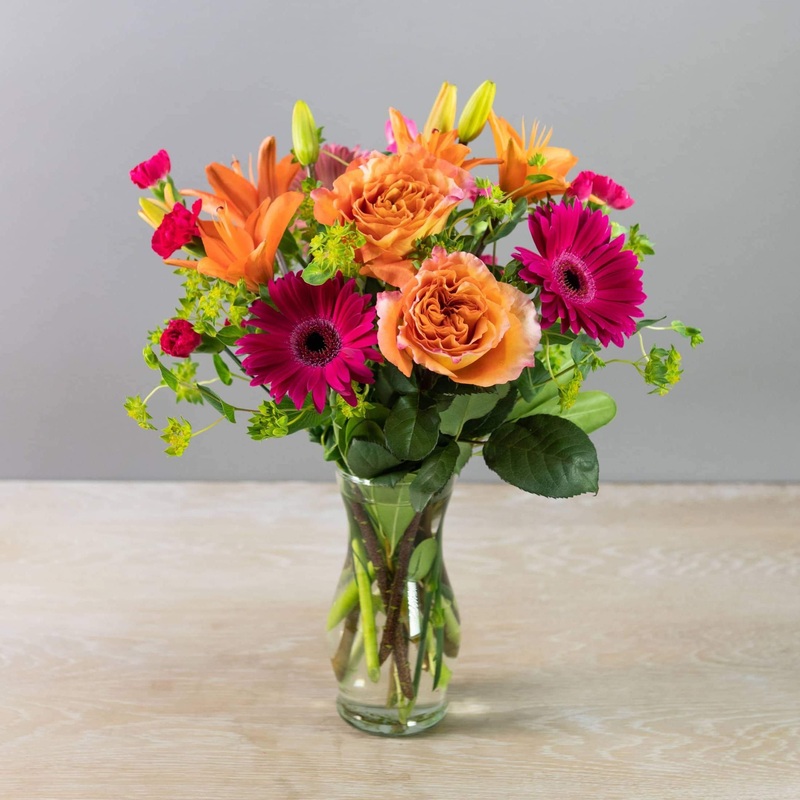 Just Happy-Standard & Deluxe (As Shown) & Premium