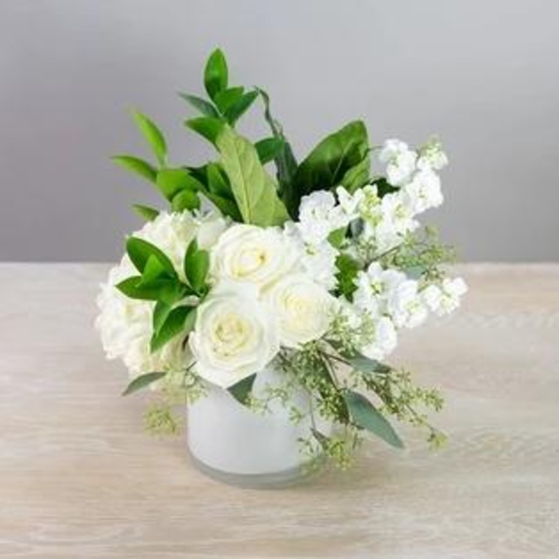 Le Blanc-Standard & Deluxe & Premium