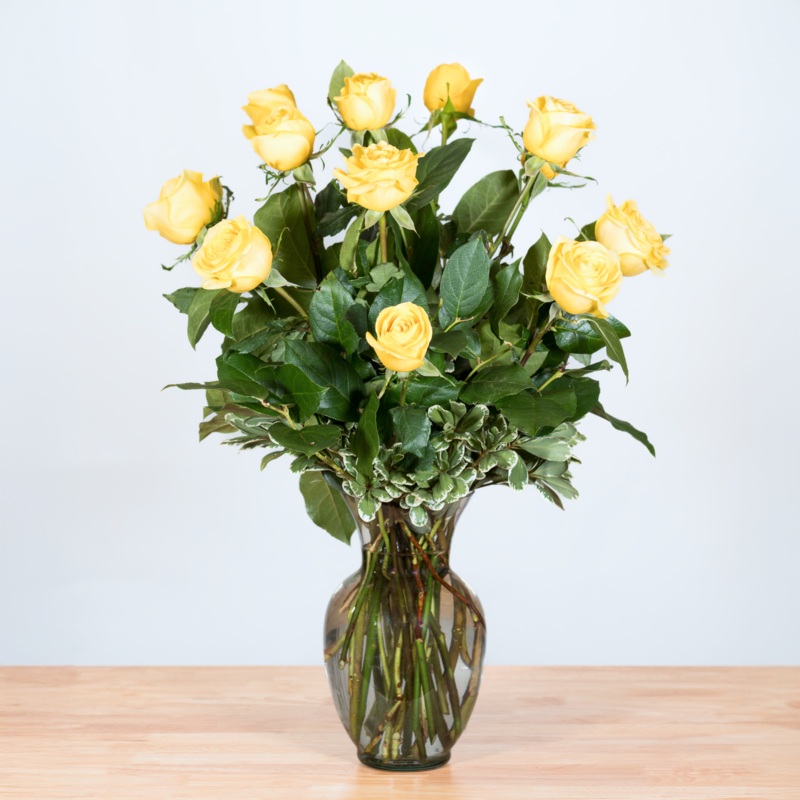 Yellow Roses Arranged-1 Dozen & 1 1/2 Dozen & 2 Dozen & 3 Dozen & Half Dozen-None & Baby’s Breath Filler