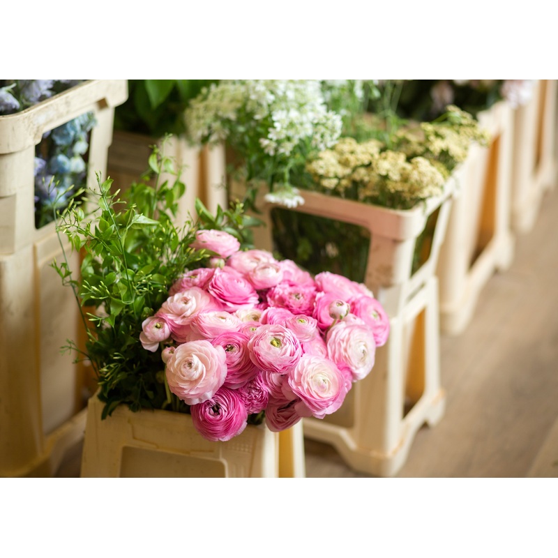 Floristry Immersive 2 week Course Mon 23rd March – Friday 3rd March 2026 10 – 4pm @ WHEELIBIRKS STUDIO