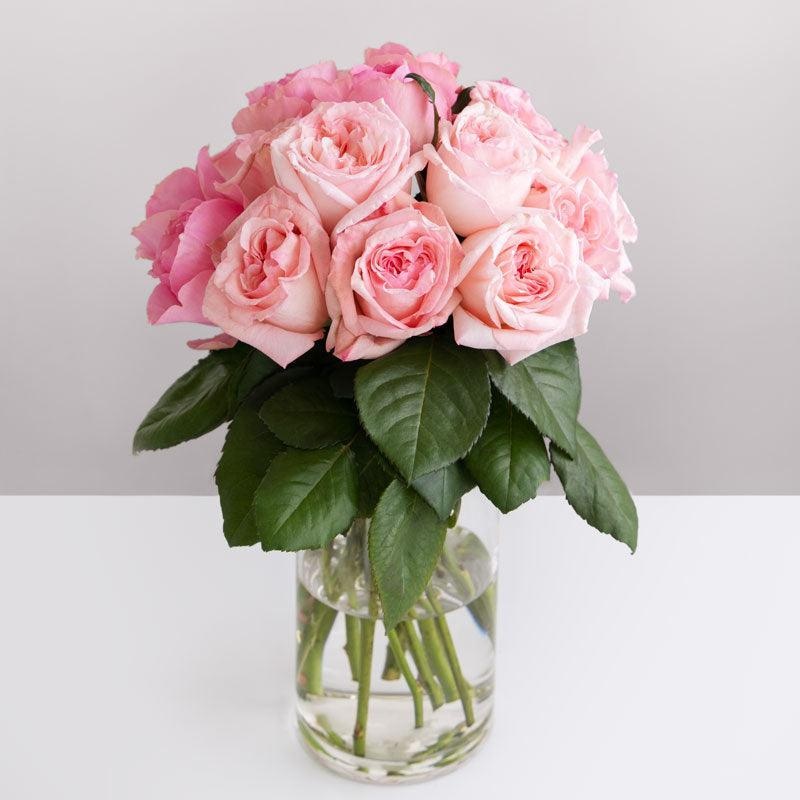 Pink En Masse-12 Stems & 20 Stems & 40 Stems
