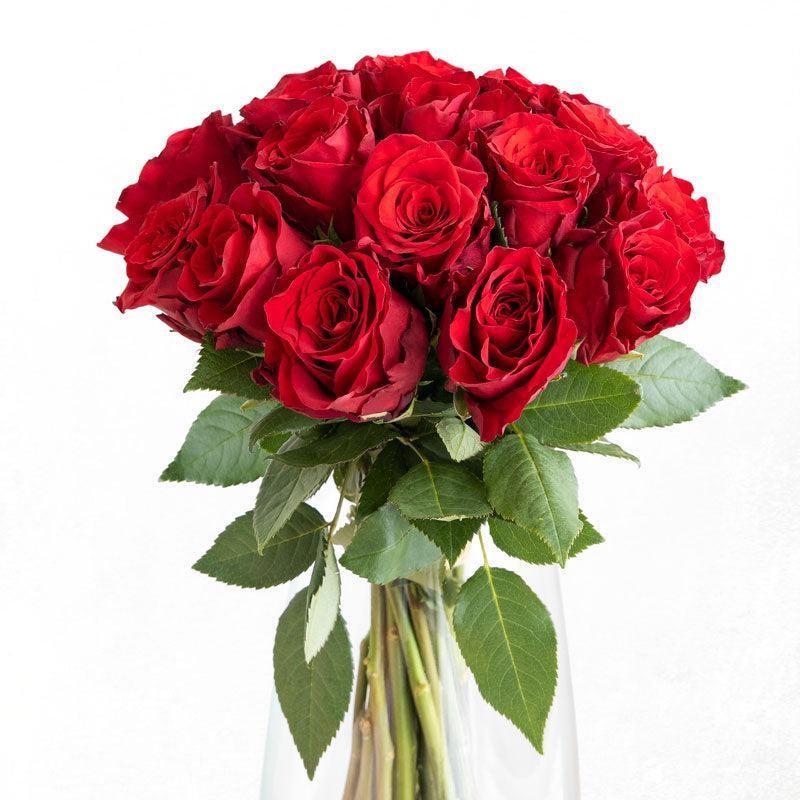 Red En Masse-10 & 20 stems & 40 stems