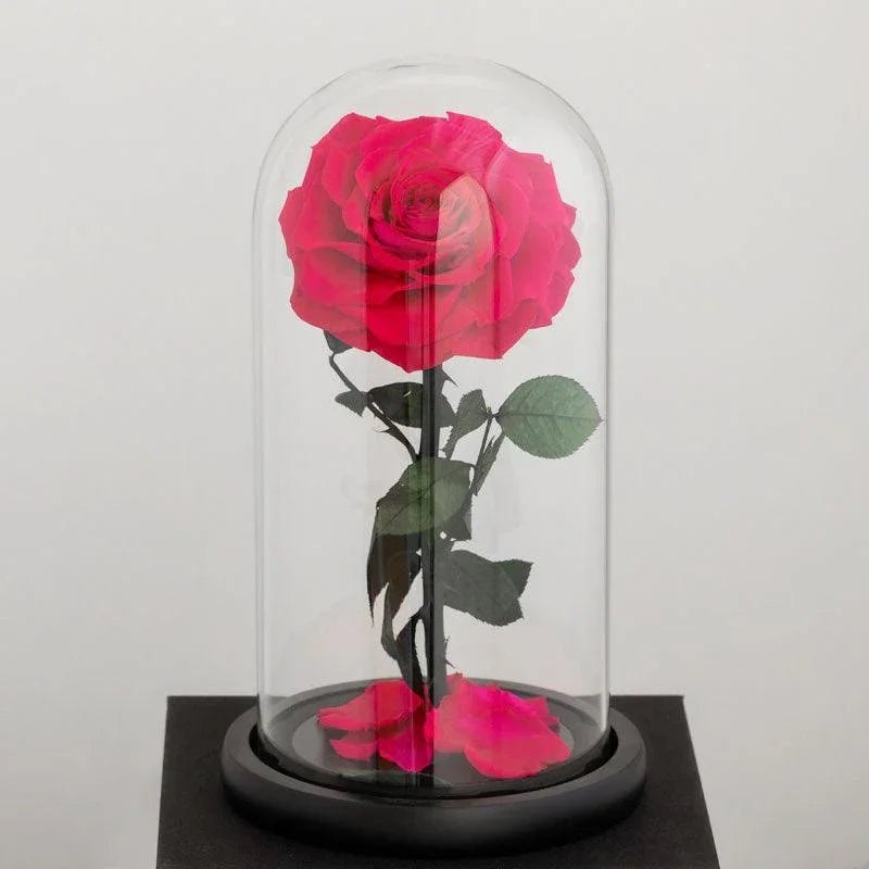 The Forever Hot Pink Rose – SOLD OUT
