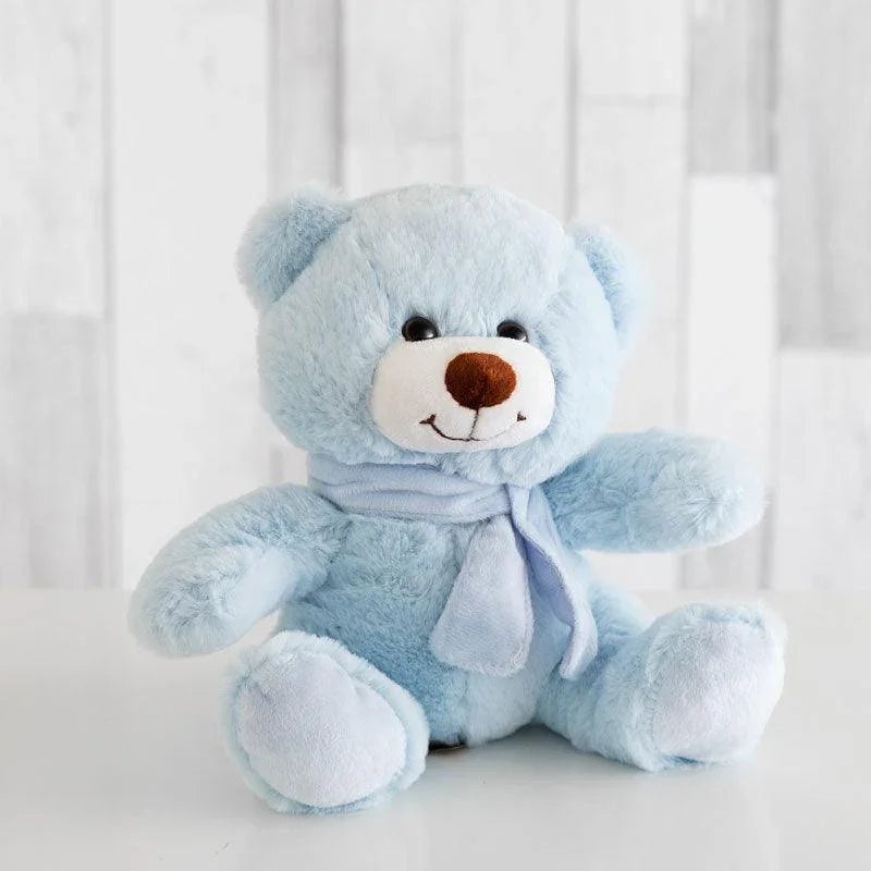 Blue Winter Teddy