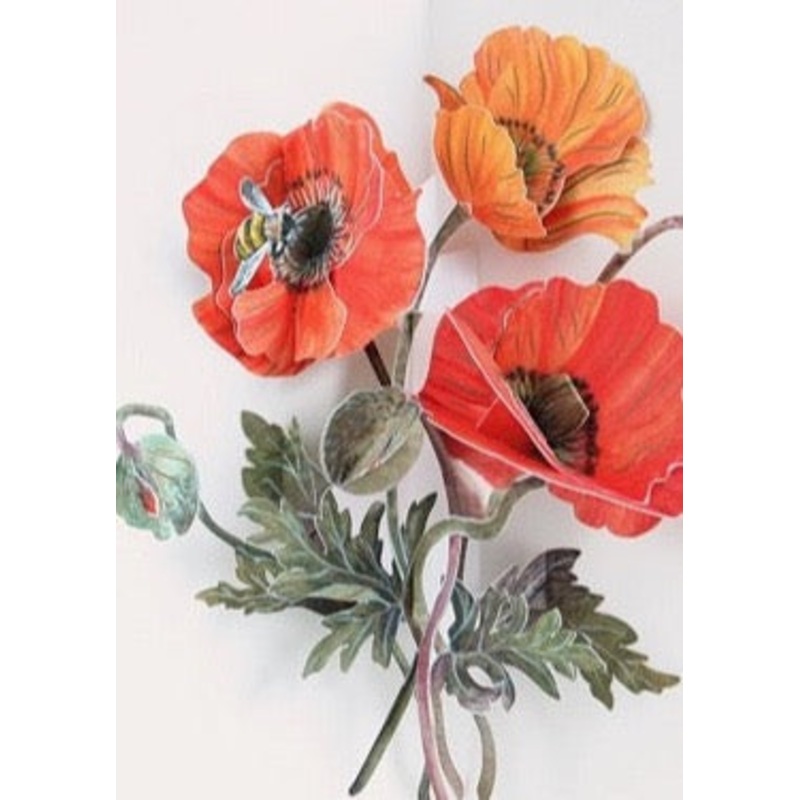 Poppy Pop-Up Card