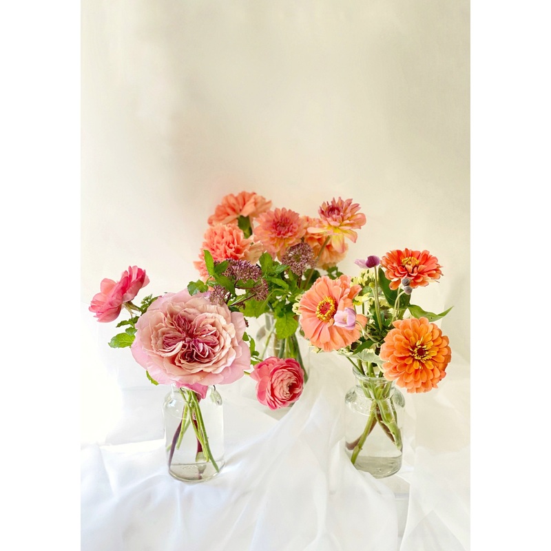 The Bud Vases-Seasonal Brights & Timeless Neutrals & Bold Jewel-Tones