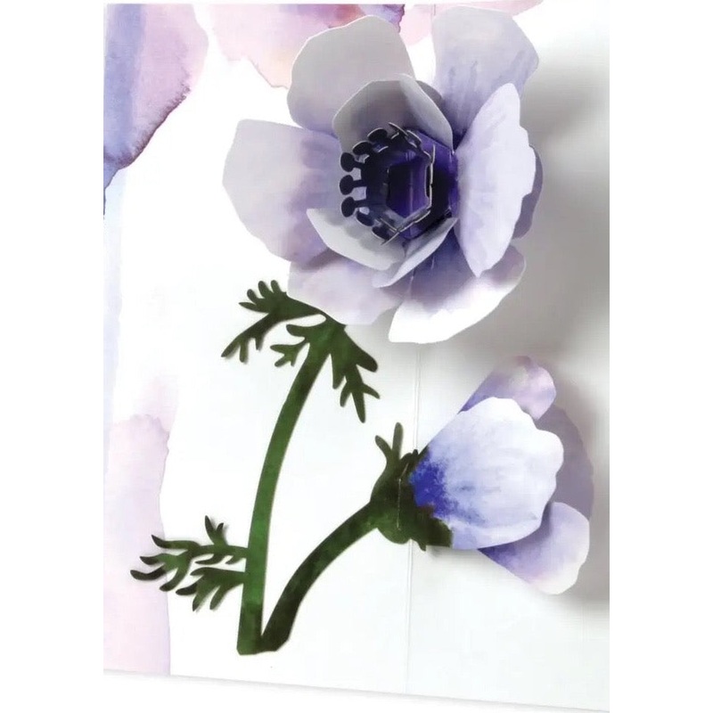 Anemone Flower Pop-Up Card