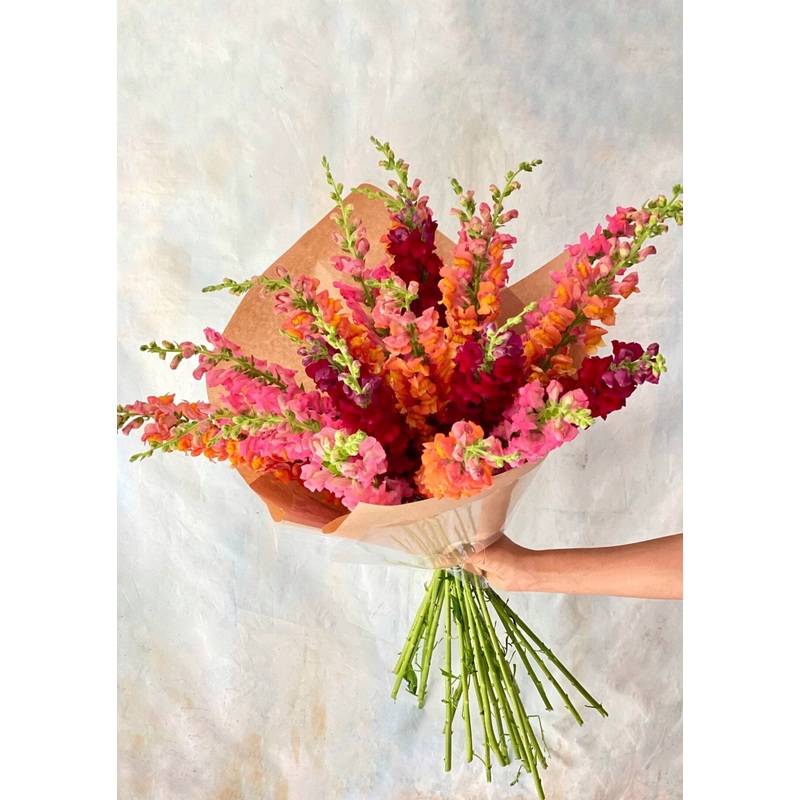 ‘Color-Burst’ Snapdragon Bouquet