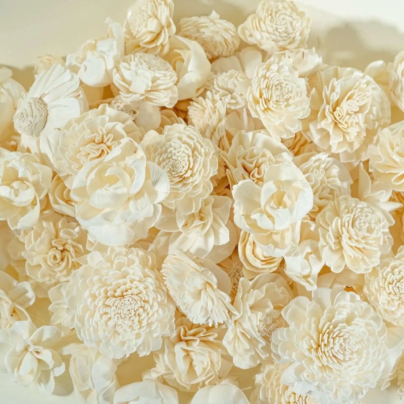 100 Random Assortment (No Bark)