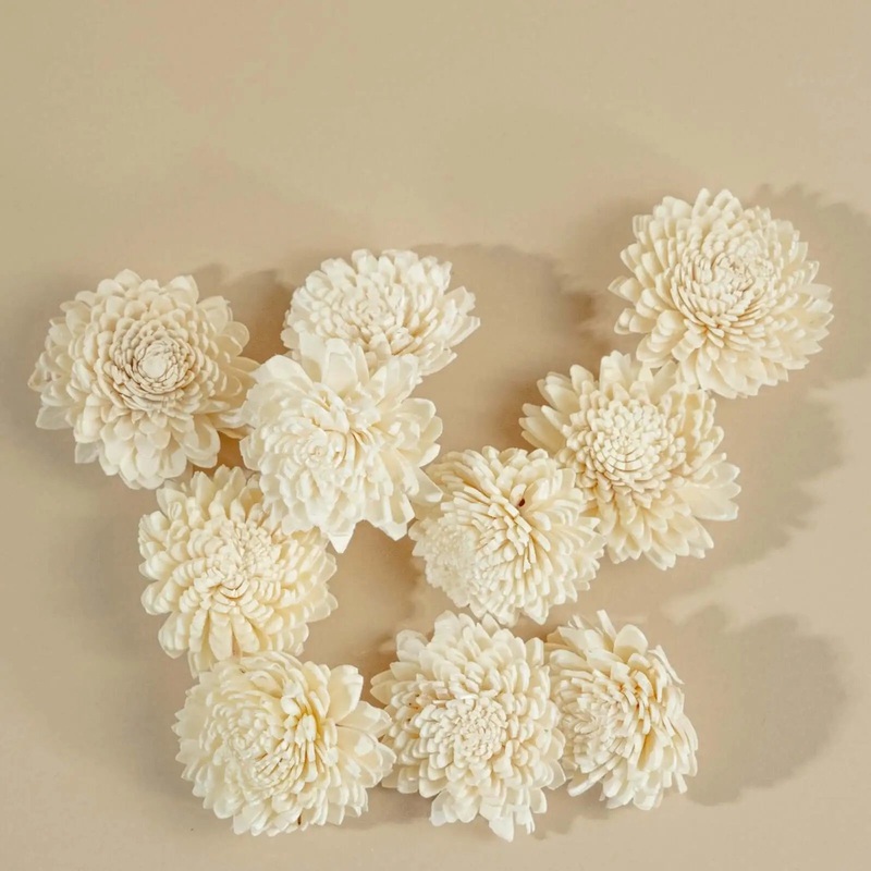 2 Wild Zinnia (10 pack)-RAW & CUSTOM