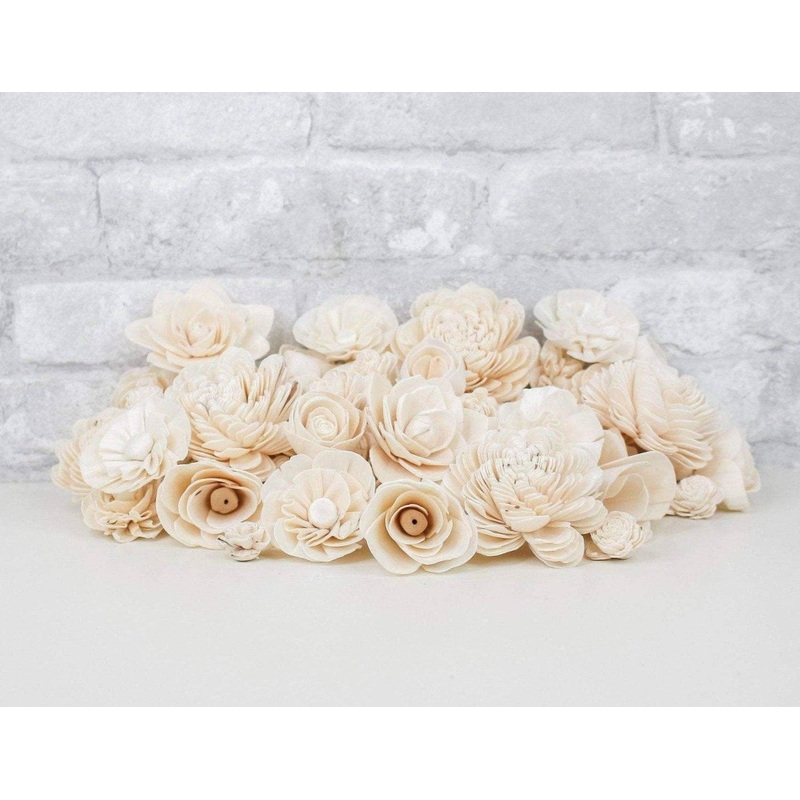 50 Random Assortment – No Bark