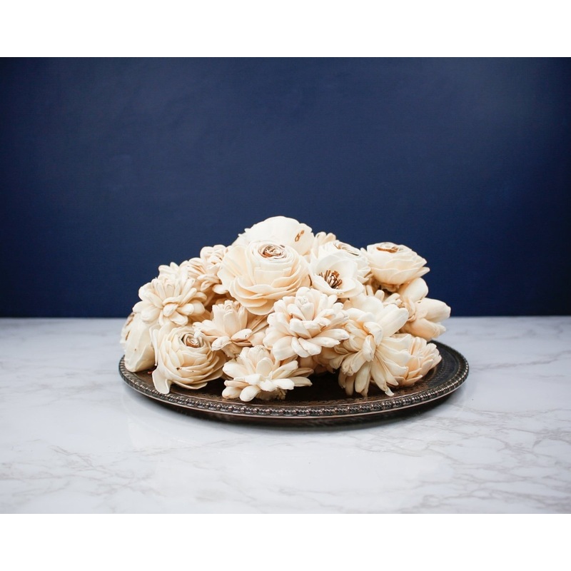 Succulent Raw Assortment