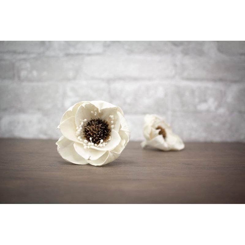 2 Beckie w/White Tips (3 Pack)