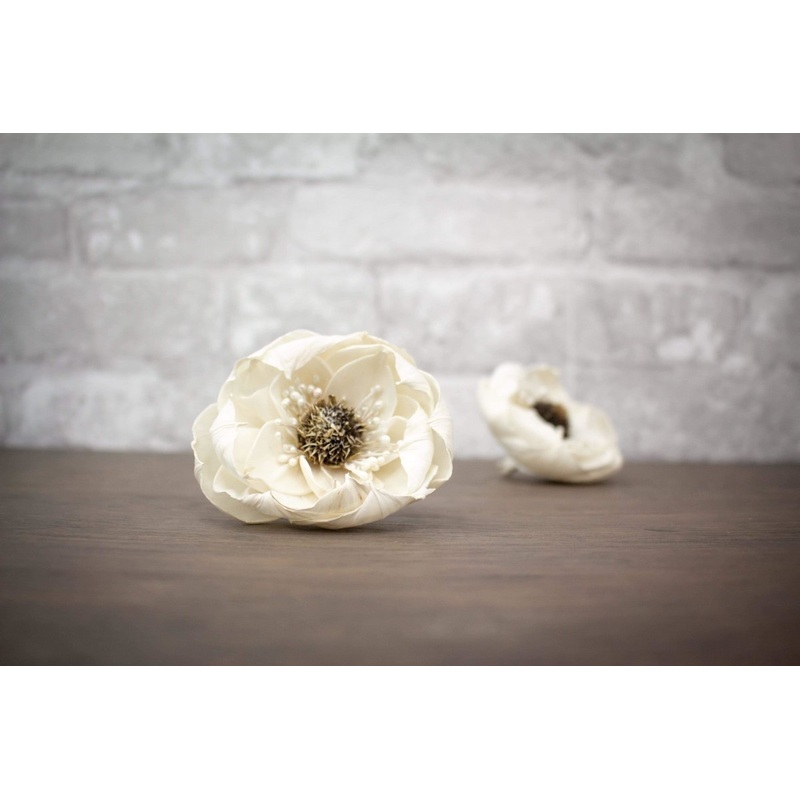 3 Beckie w/White Tips (3 Pack)