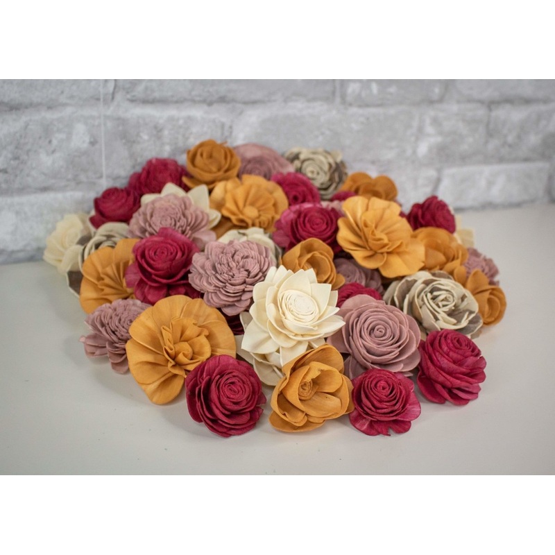 She Believed She Could Assortment