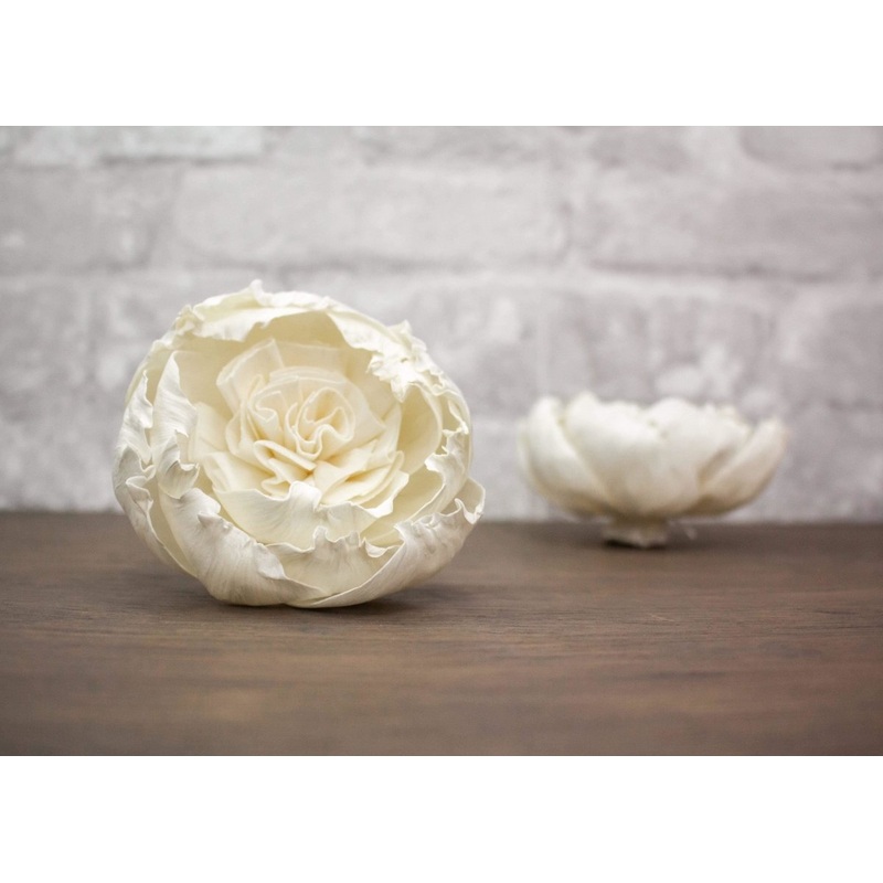 3 English Rose (3 Pack)