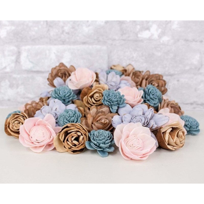 Seascape Mini Assortment-25 Pack & 50 Pack