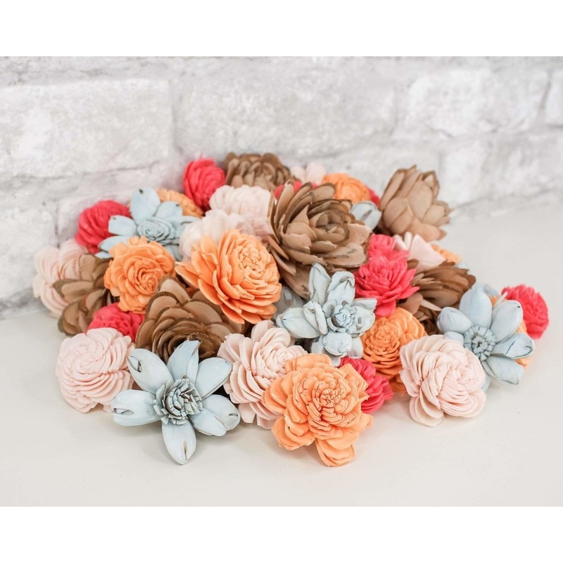 Seashell Mini Assortment-25 Pack & 50 Pack