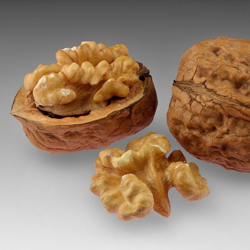 Walnut – Juglans regia Cascade