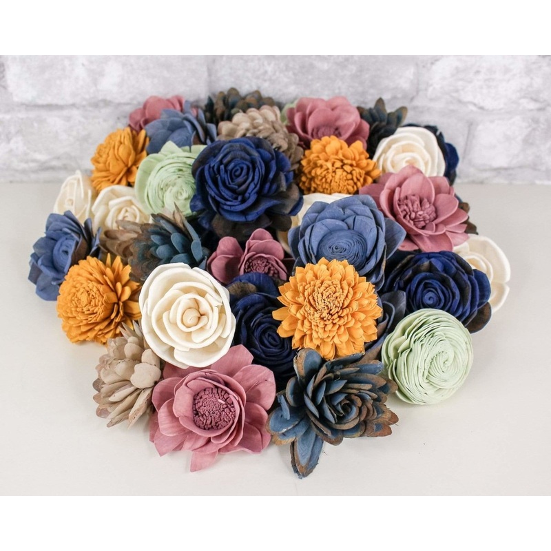 Blue Moon Bay Assortment-25 Pack & 50 Pack