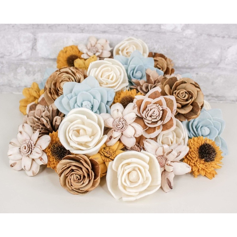 Carolina Shores Assortment-25 Pack & 50 Pack