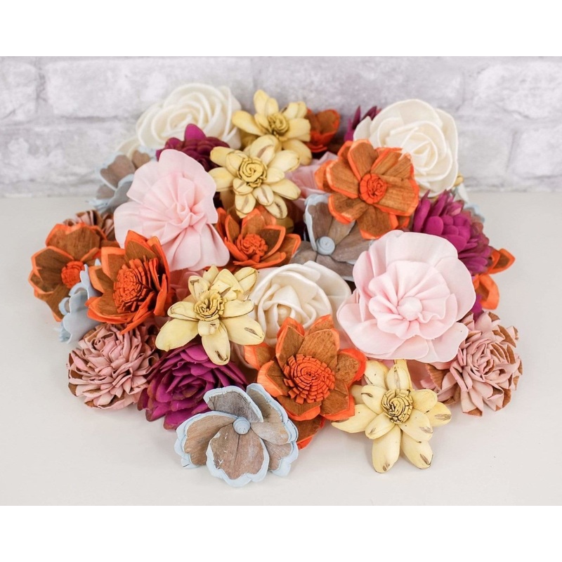 Fiesta Assortment-25 Pack & 50 Pack