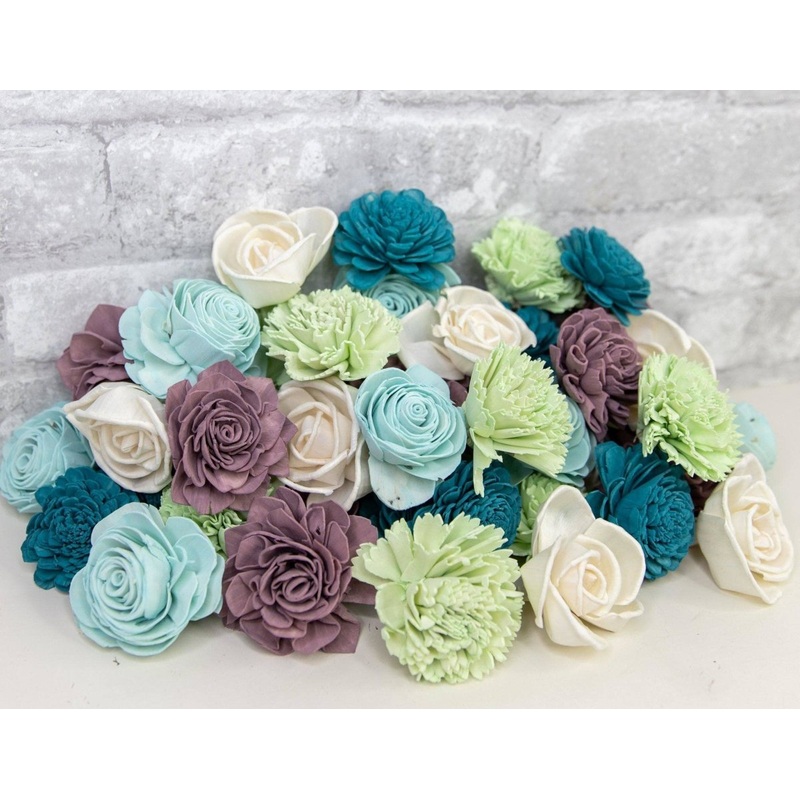 So Succulent Assortment-25 pack & 50 pack