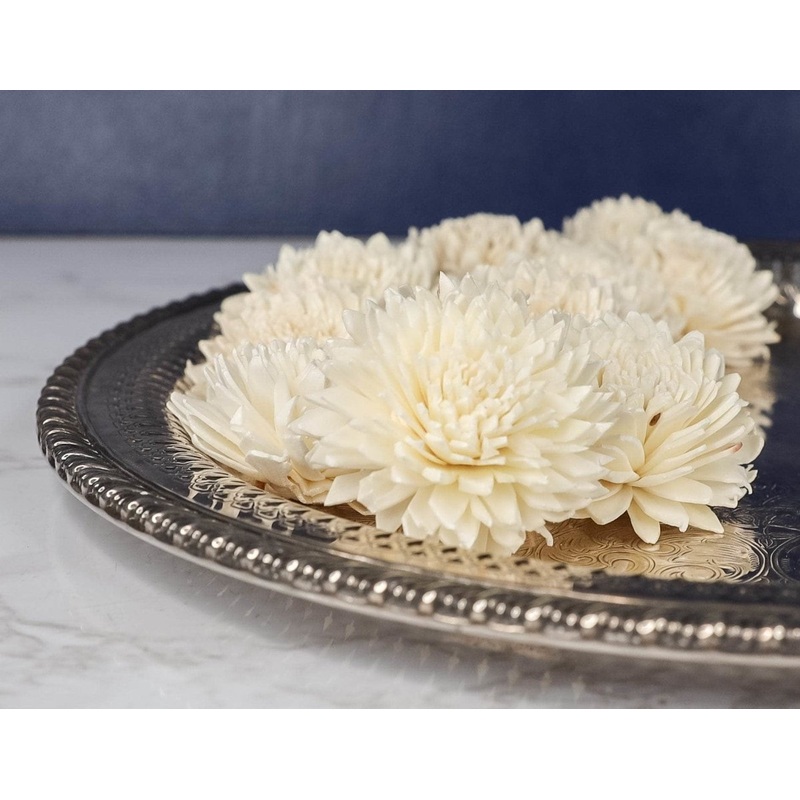 2 Wild Zinnia (1500 Flower Box)