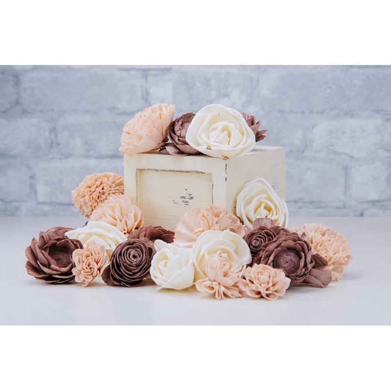 The Best Assortment-25 Pack & 50 Pack & 100 Pack & 200 Pack