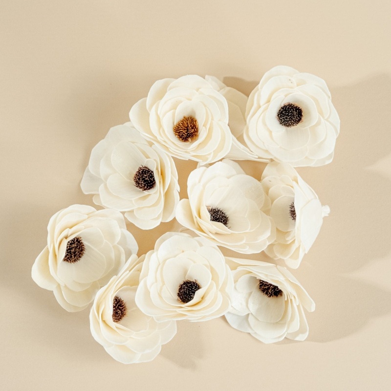 4 Anemone (10 Pack)-RAW & CUSTOM